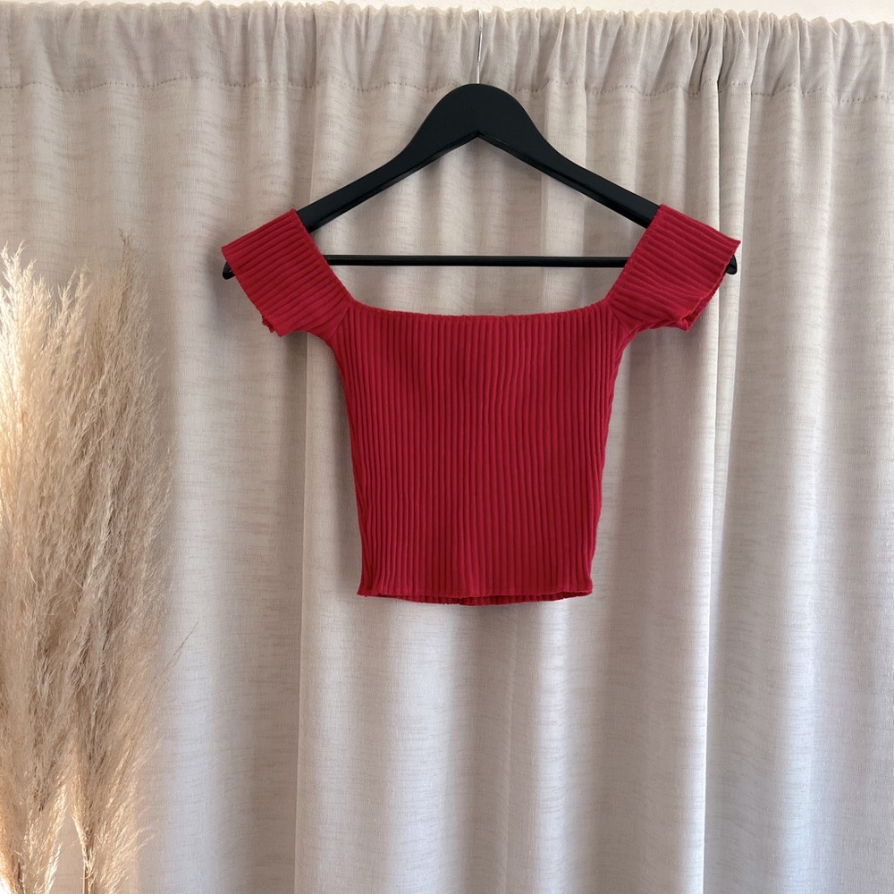ARE YOU AM I Red Ribbed Crop Top